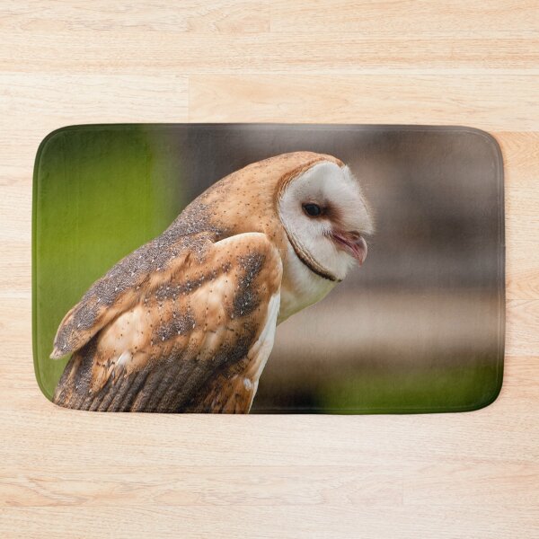 Item preview, Barn Owl designed and sold by Owl-Images.