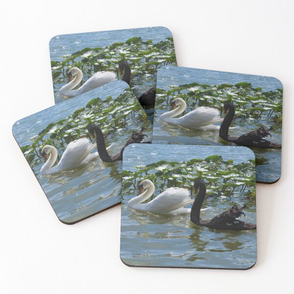 Item preview, Black and white swans designed and sold by Zina Stromberg.