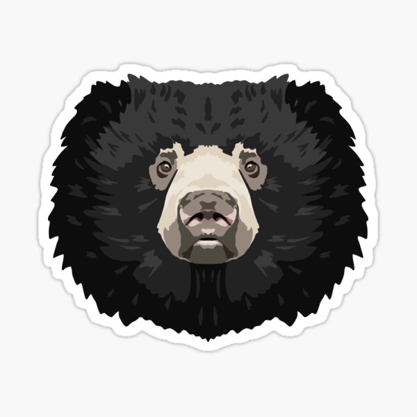 Shaggy sloth bear (melursus ursinus) in side view. Illustration after an  engraving from the 19th century Stock Vector Image & Art - Alamy