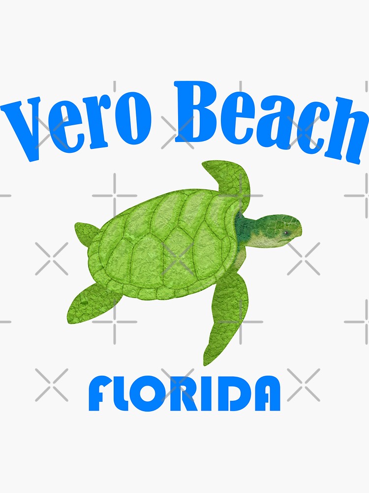 Vero Beach Florida Sea Turtle by 1923mainstreet