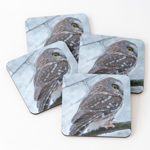 Item preview, Northern Saw-whet Owl designed and sold by Owl-Images.