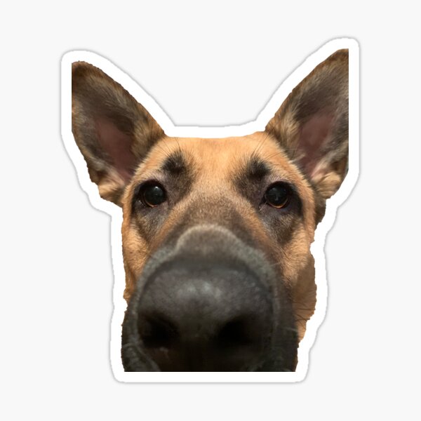German Shepherd Sticker