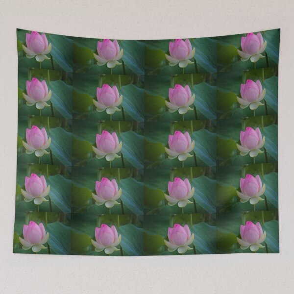 Item preview, The Water Lily designed and sold by browna.