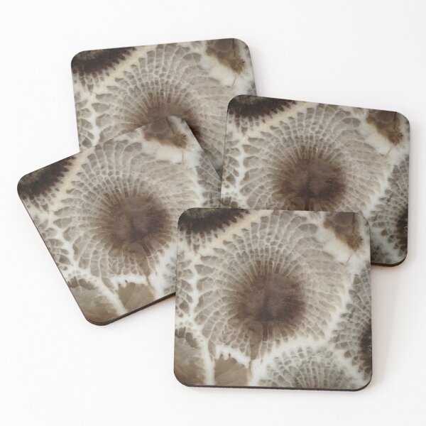 Item preview, Looking Into a Petoskey Stone designed and sold by Robert Kelch, M.D..