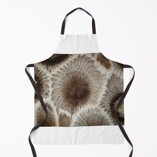 Item preview, Looking Into a Petoskey Stone designed and sold by Robert Kelch, M.D..