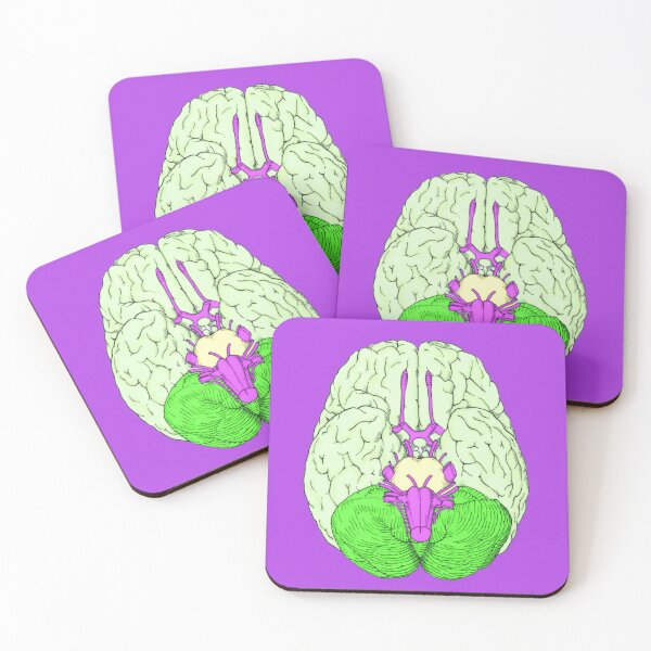 Item preview, Green Colored Antique Brain Anatomy and Cranial Nerves Illustration designed and sold by ScienceSource.