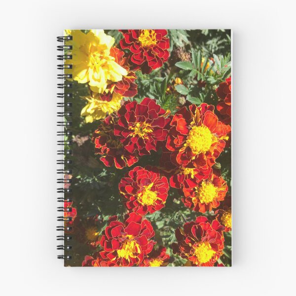 Item preview, Marigolds designed and sold by Naomiblaine.