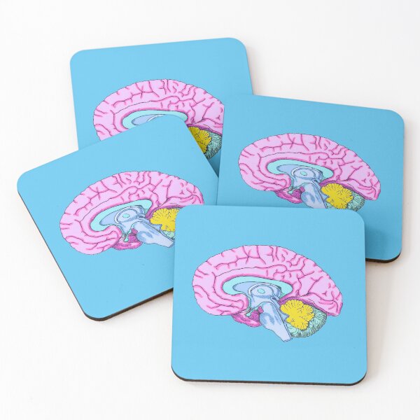 Item preview, Brightly Colored Human Brain Anatomy Illustration designed and sold by ScienceSource.