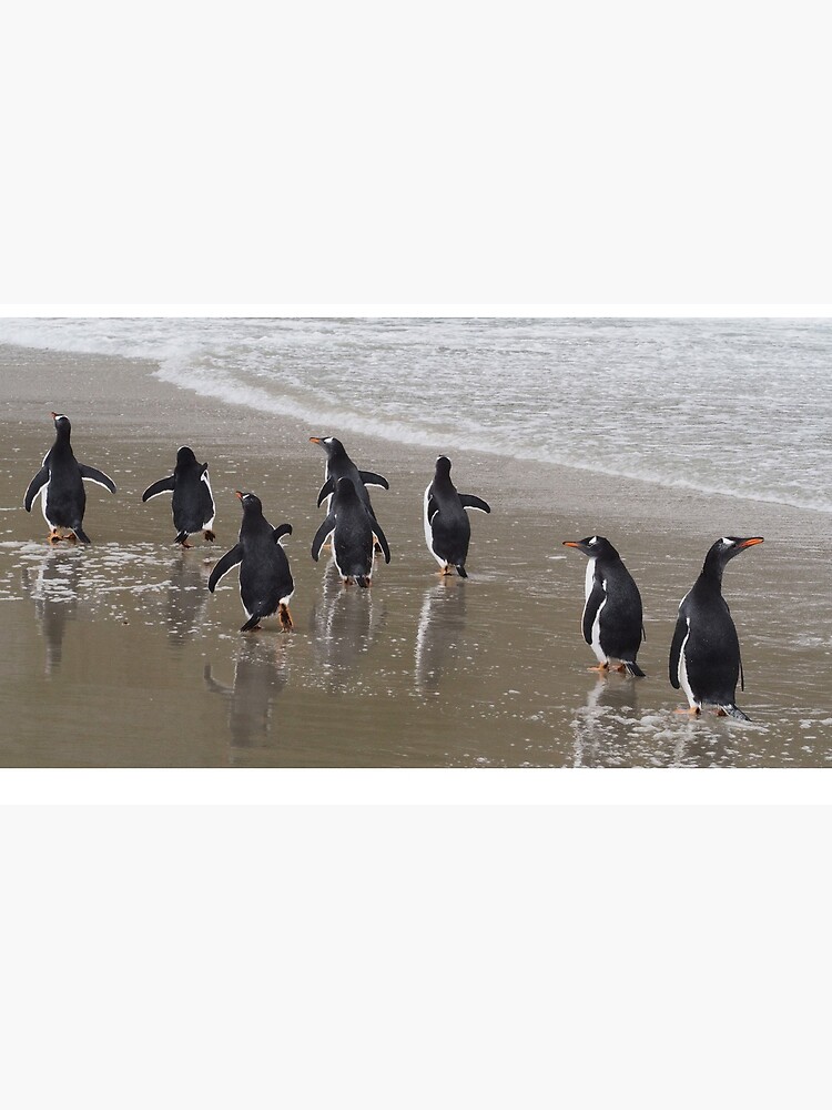 Penguin March by AntarcticShop