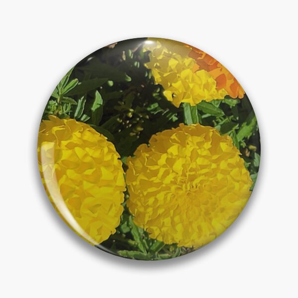Item preview, Roadside autumn flowers, Jeju Island, Korea. designed and sold by human8891.