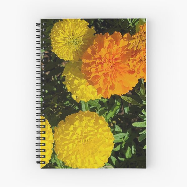 Item preview, Roadside autumn flowers, Jeju Island, Korea. designed and sold by human8891.