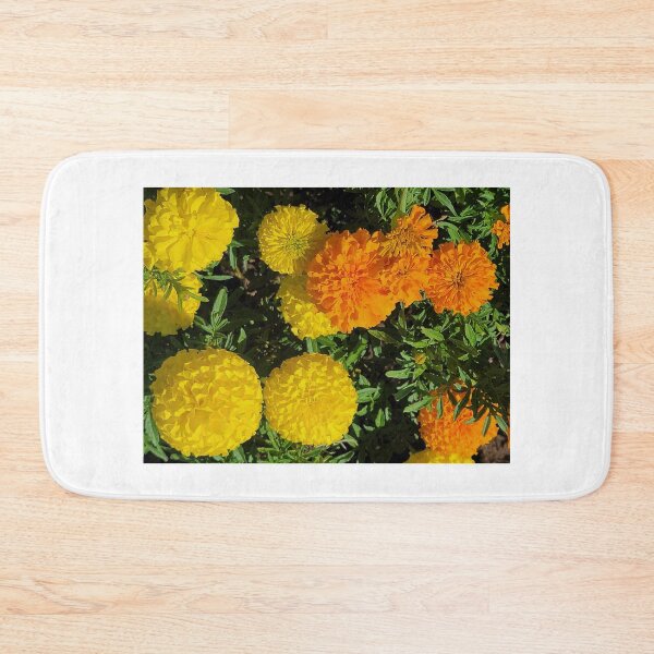Item preview, Roadside autumn flowers, Jeju Island, Korea. designed and sold by human8891.