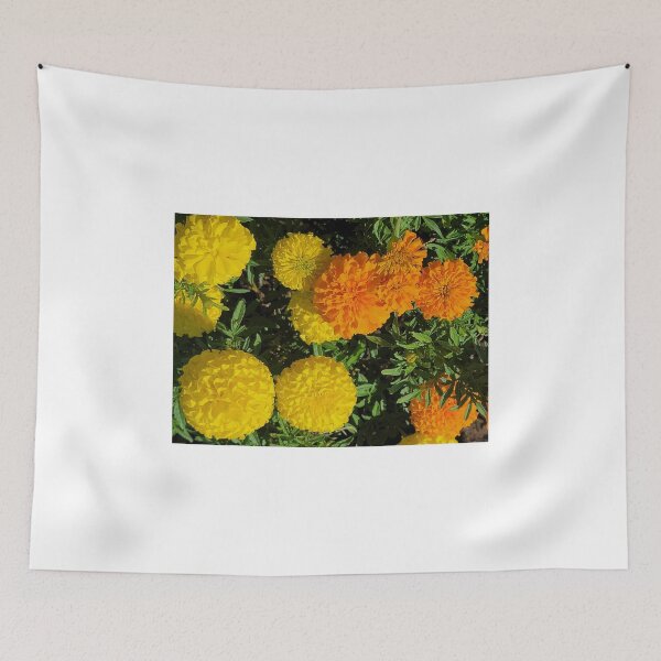 Item preview, Roadside autumn flowers, Jeju Island, Korea. designed and sold by human8891.