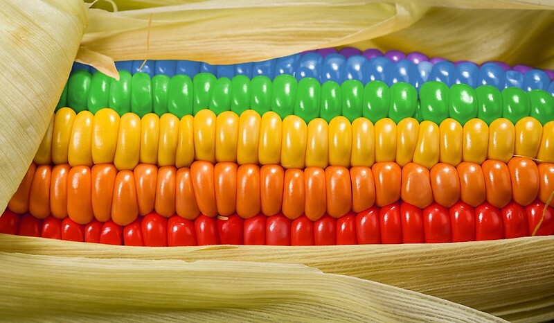 rainbow corn hair surprise