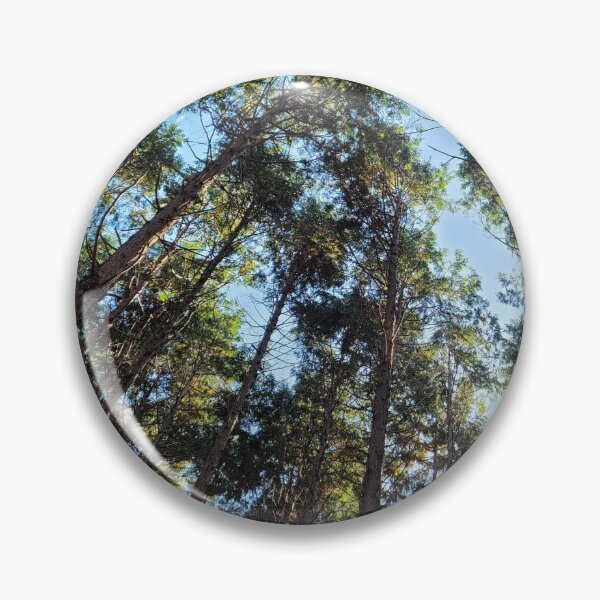 Item preview, Cedar Forest of JokeunNokGome oreum, Jeju Island, Korea. designed and sold by human8891.