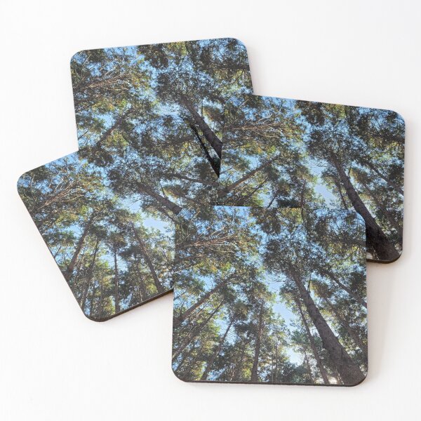 Item preview, Cedar Forest of JokeunNokGome oreum, Jeju Island, Korea. designed and sold by human8891.