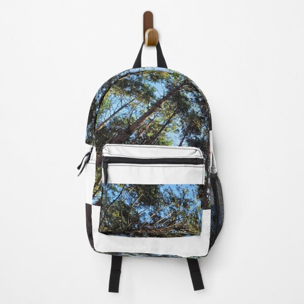 Item preview, Cedar Forest of JokeunNokGome oreum, Jeju Island, Korea. designed and sold by human8891.