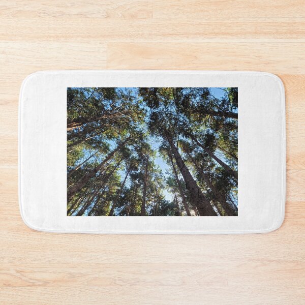 Item preview, Cedar Forest of JokeunNokGome oreum, Jeju Island, Korea. designed and sold by human8891.