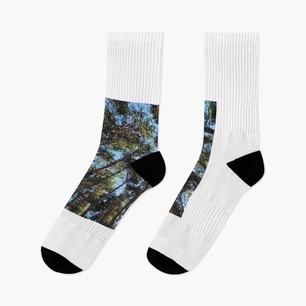 Item preview, Cedar Forest of JokeunNokGome oreum, Jeju Island, Korea. designed and sold by human8891.