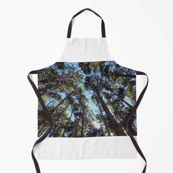 Item preview, Cedar Forest of JokeunNokGome oreum, Jeju Island, Korea. designed and sold by human8891.