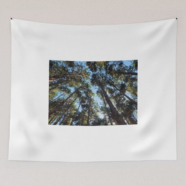 Item preview, Cedar Forest of JokeunNokGome oreum, Jeju Island, Korea. designed and sold by human8891.