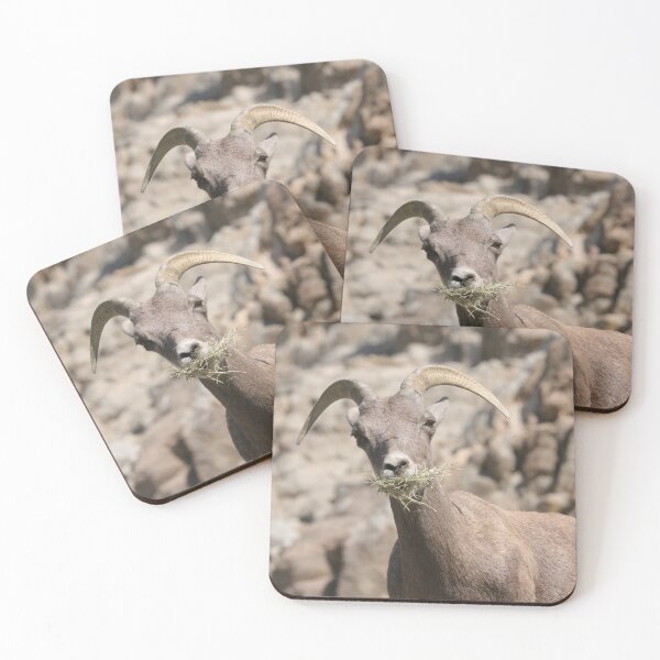 Item preview, Bighorn Sheep designed and sold by MelKowasic.
