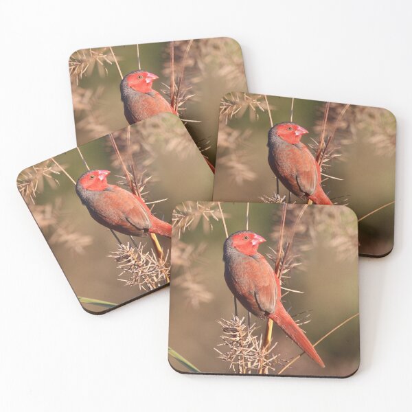 Item preview, Crimson Finch designed and sold by Wanderingeagles.