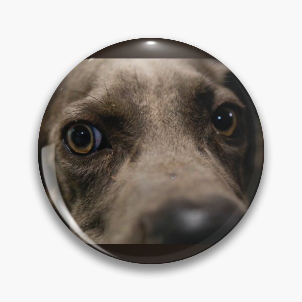 Item preview, Botros big eyed Cane Corso designed and sold by Moemadrizk.