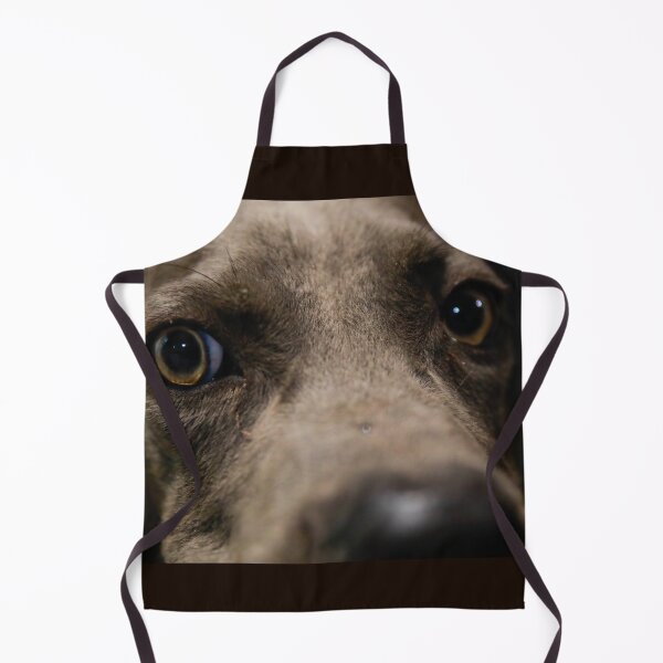 Item preview, Botros big eyed Cane Corso designed and sold by Moemadrizk.