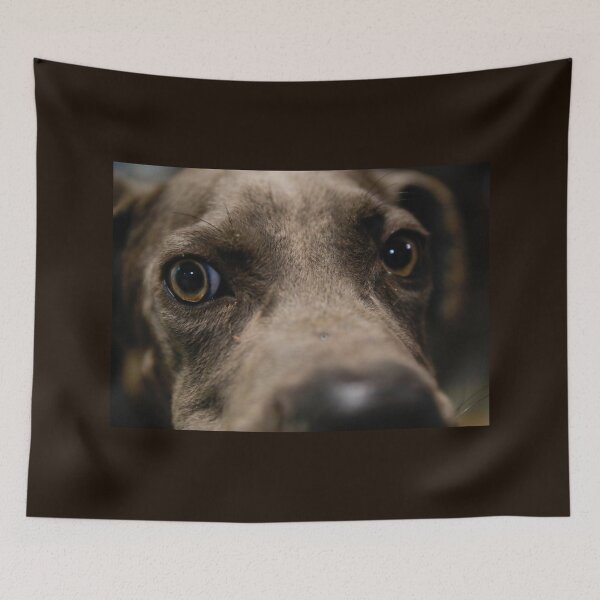 Item preview, Botros big eyed Cane Corso designed and sold by Moemadrizk.