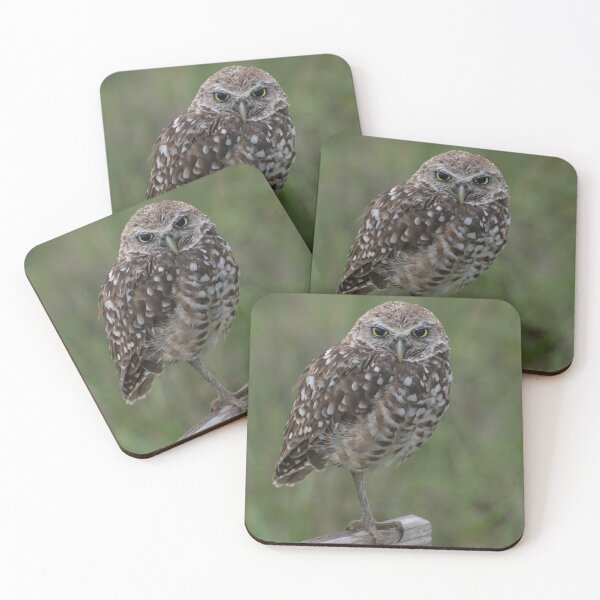 Item preview, Whooo's sleepy? designed and sold by TinyCameraNinja.