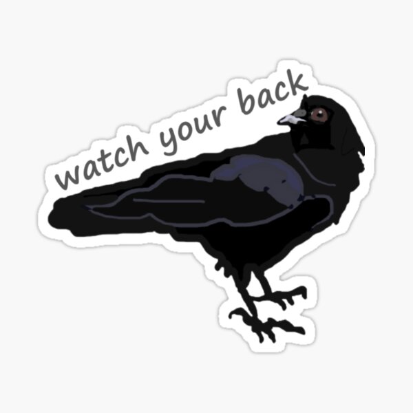 Black Crow Raven with saying watch your back above the crows Sticker