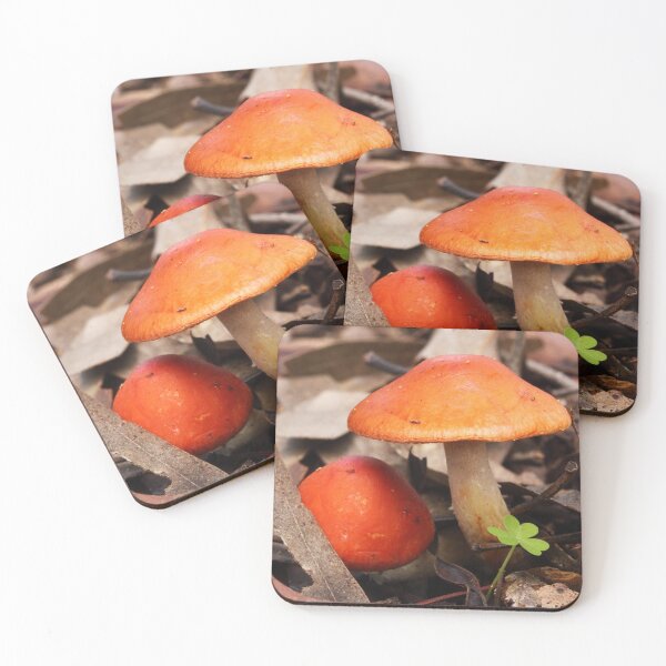 Item preview, Orange Top Mushrooms designed and sold by Esther Frieda.