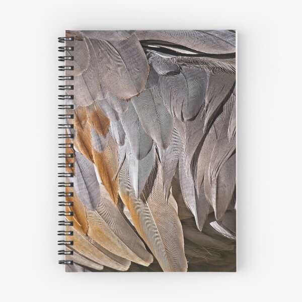 Item preview, Sandhill Crane Feather Detail 2 designed and sold by StevenRalserPhoto.