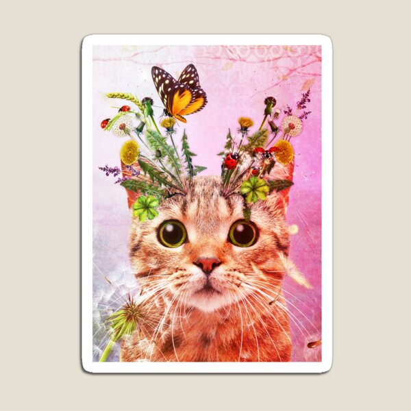 Kitty Kat Magnet