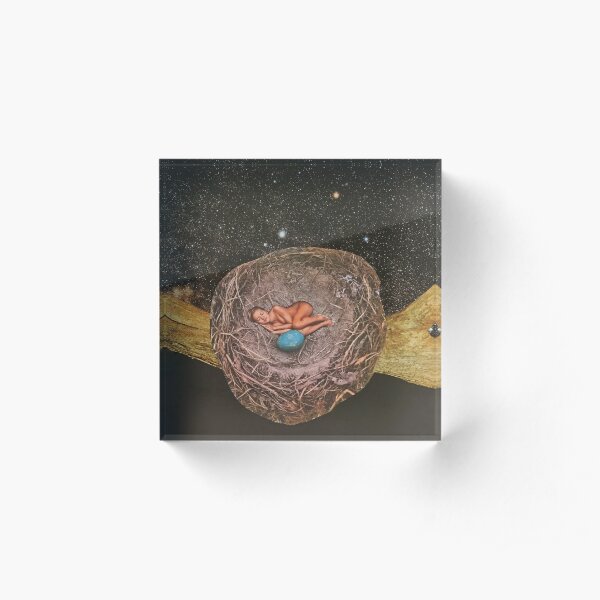 An Unhatched Dream Acrylic Block