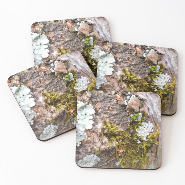 Item preview, Moss and Lichen designed and sold by BattleMountain.