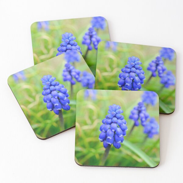 Item preview, Grape Hyacinth  designed and sold by BattleMountain.