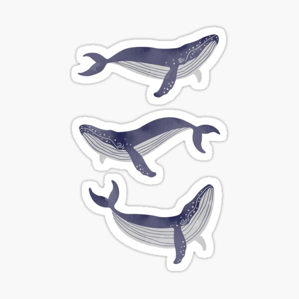 Whales Print Sticker