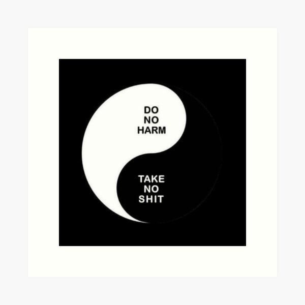 Do no harm Take no shit Art Print