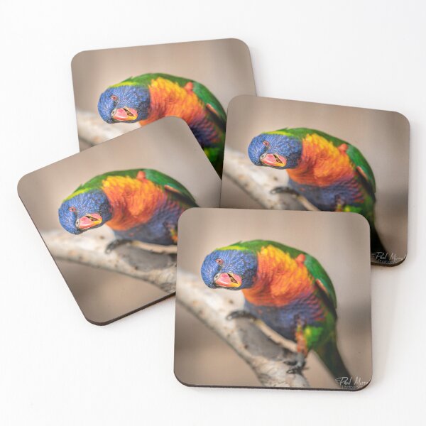 Item preview, Rainbow Lorikeet designed and sold by PaulMorrall.
