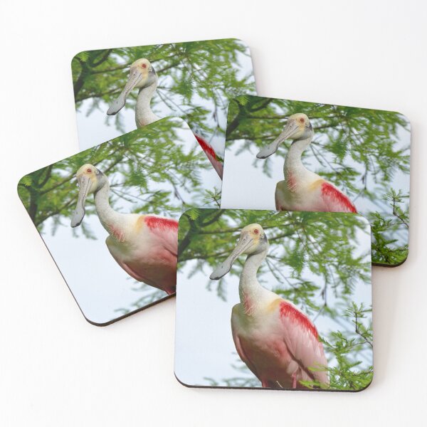 Item preview, Roseate Spoonbill Resting on a Branch designed and sold by richardbryce.