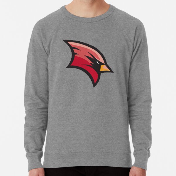 svsu sweatshirt