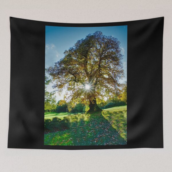 Item preview, Starburst Autumn Tree designed and sold by Alisonchambers2.