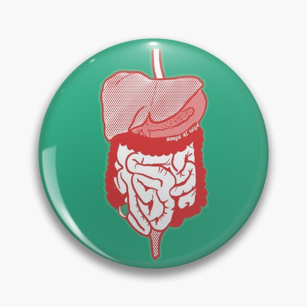 Item preview, Digestive System Anatomical, AMSA at UCSD designed and sold by amsaatucsd.