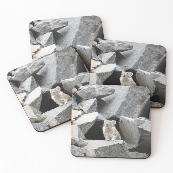 Item preview, American pika (Ochotona princeps) in Mount Rainier National Park designed and sold by SDym Photography.