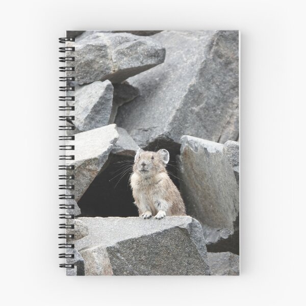 Item preview, American pika (Ochotona princeps) in Mount Rainier National Park designed and sold by SDym Photography.