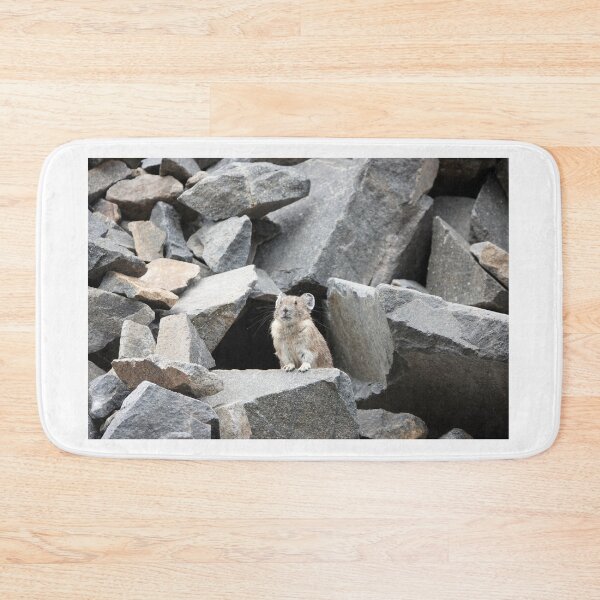 Item preview, American pika (Ochotona princeps) in Mount Rainier National Park designed and sold by SDym Photography.