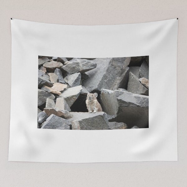 Item preview, American pika (Ochotona princeps) in Mount Rainier National Park designed and sold by SDym Photography.