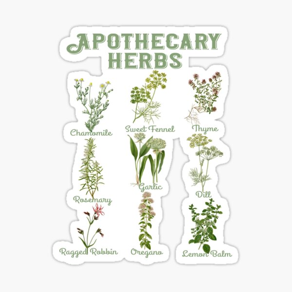 Herbal Apothecary Stickers